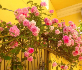 Отель B&B Maison Rosetta IUN-E4948  Нуоро